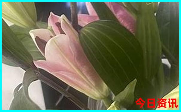 嘉兴夏天有什么好玩的地方
