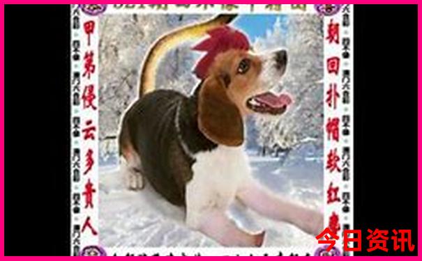 带初三学生去哪里旅游比较好玩